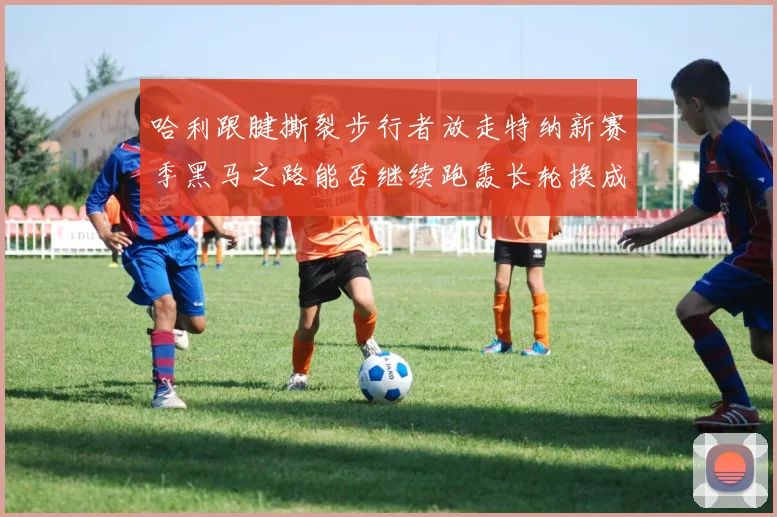 哈利跟腱撕裂步行者放走特纳新赛季黑马之路能否继续跑轰长轮换成关键