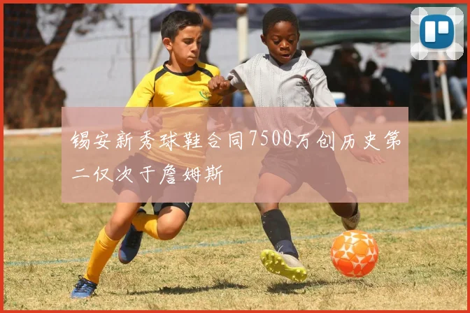锡安新秀球鞋合同7500万创历史第二仅次于詹姆斯
